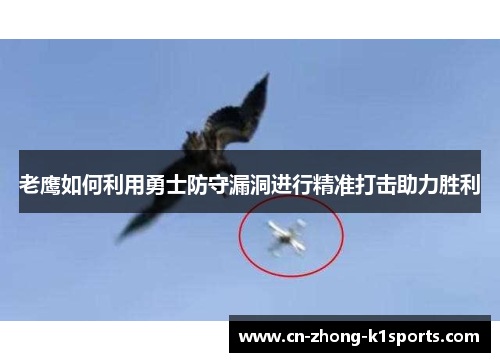 老鹰如何利用勇士防守漏洞进行精准打击助力胜利 老鹰如何利用勇士防守漏洞进行精准打击助力胜利